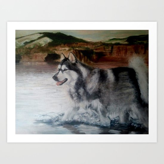 sketch study; malamute Art Print