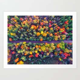 The Autumn Forest (Color) Art Print