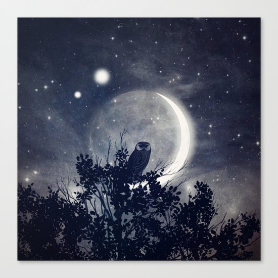 A Night With Venus and Jupiter Canvas Print