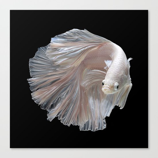 The Game Fish Canvas Print