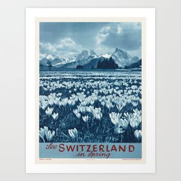 Vintage poster - Switzerland Art Print