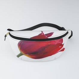 wild red tulip Fanny Pack