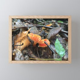 Fiery Mushrooms Framed Mini Art Print