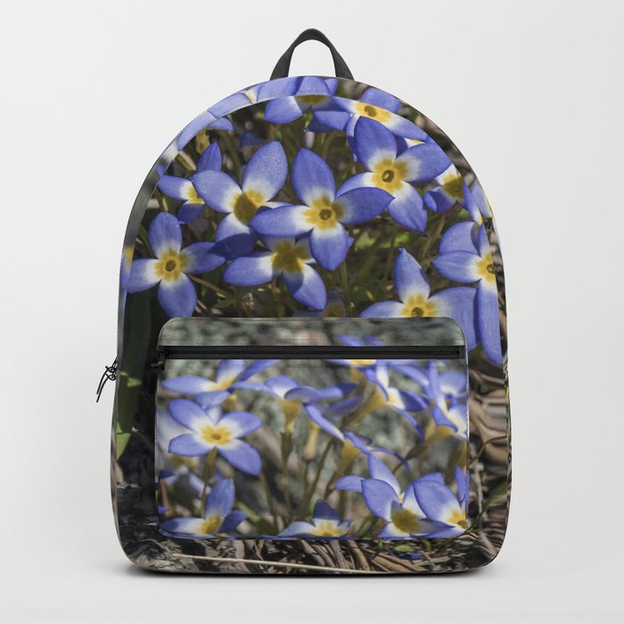 Tiny bluets Backpack