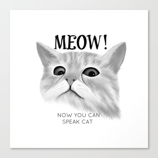 Meow Canvas Print