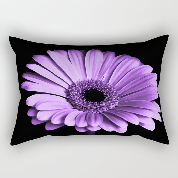 Big purple 2025 pillows
