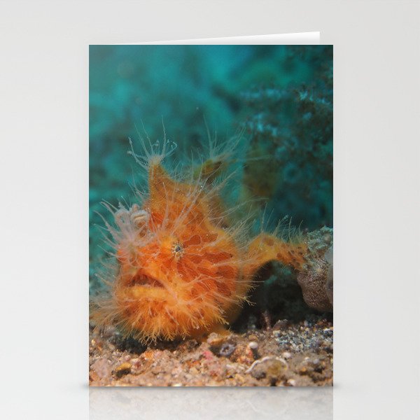 frog fish Stationery Cards