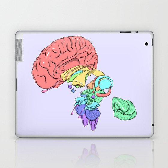 Exploded Anatomical Brain Laptop & iPad Skin