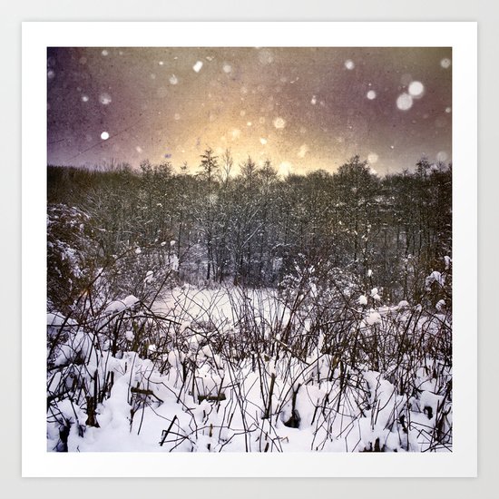 Winter Dream Art Print