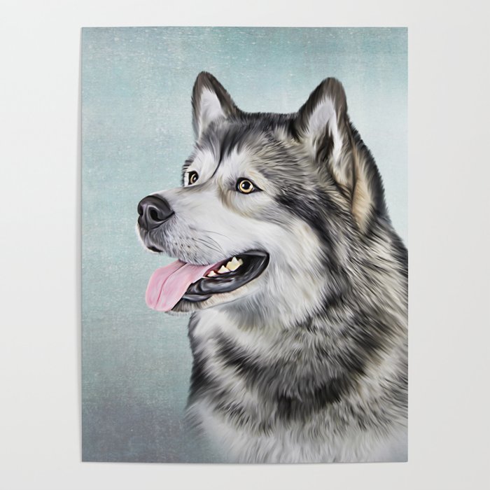 Malamute drawing top