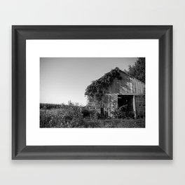 Abandoned Barn Garden (Black & White Photography) Framed Art Print