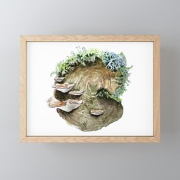 Mossy Log Framed Mini Art Print
