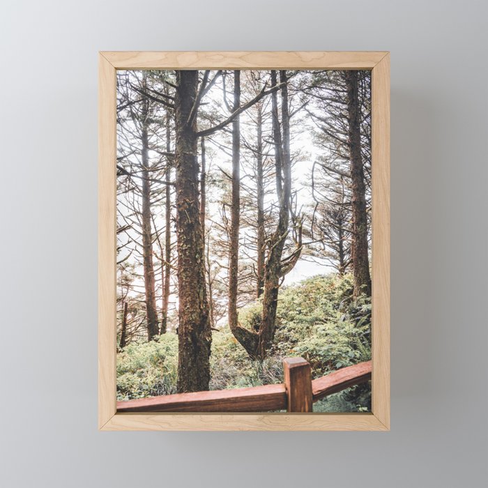 Forest and Fog | PNW | Travel Photography Framed Mini Art Print