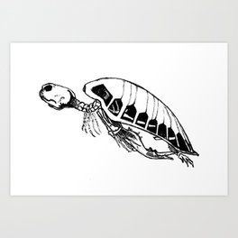 Exoskeleton turtle Art Print | Illustration, Nature, Animal 