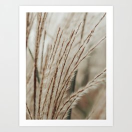 Neutral Botanical Abstract 2 x autumn plant photograph Art Print