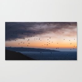 Birds at the Dunes of Concón, Chile Canvas Print