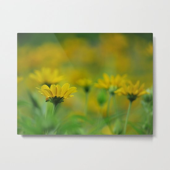 Blurs of Summer Metal Print