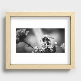 Bee on Flower in Black and White Recessed Framed Print