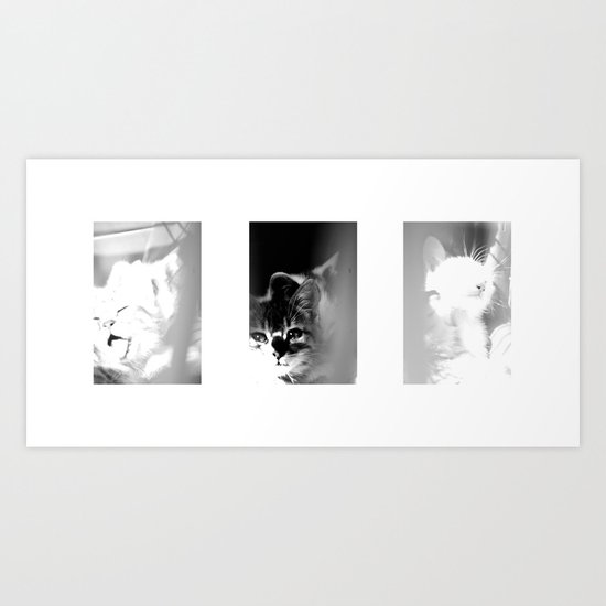 Bliss Kittens Art Print