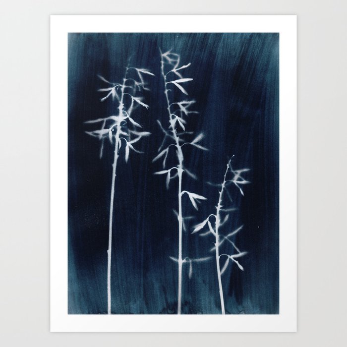 Indigo Hosta Botanical Cyanotype Art Print