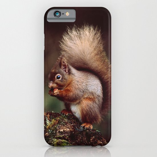 RED SQUIRREL. iPhone & iPod Case