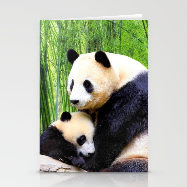Panda-love Stationery Cards