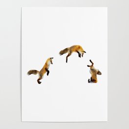 Fox Snow Jump Poster