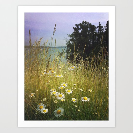 Summer Solstice Art Print