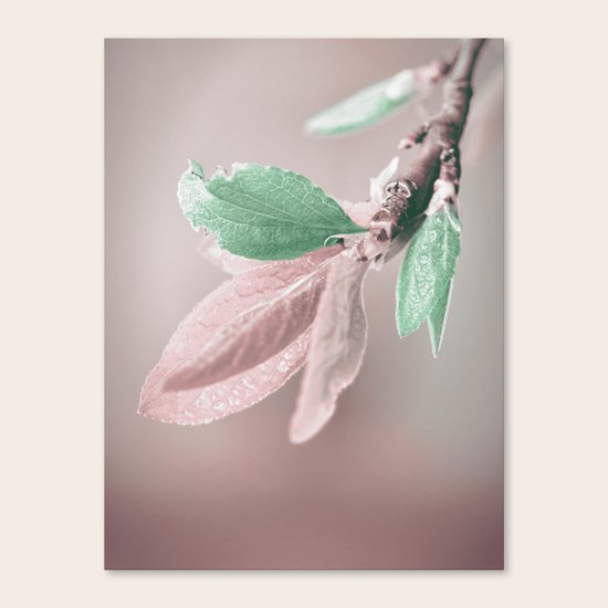 Spring 1 Canvas Print