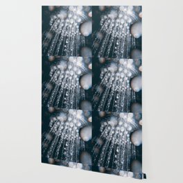 Shower head with running water closeup Wallpaper
