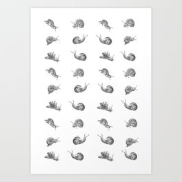 Snail Pattern Art Print