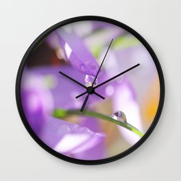 Natural raindrops slide in the spring Garden Wall Clock