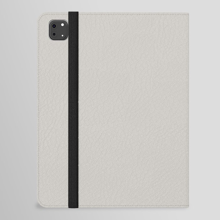 Pale Soft Gray - Grey Solid Color Pairs PPG Cool Slate PPG1002-3 - All One Single Shade Hue Colour iPad Folio Case