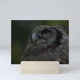 Owl Mini Art Print