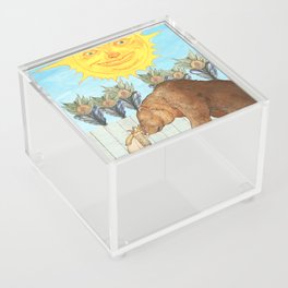 Midsommar The Sun Tarot Acrylic Box