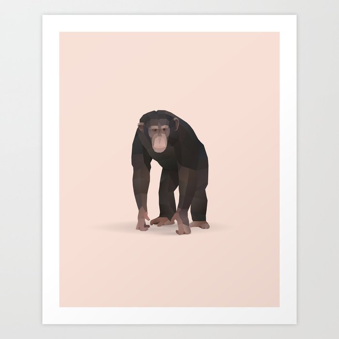 Animal Art by Chimpanzee
