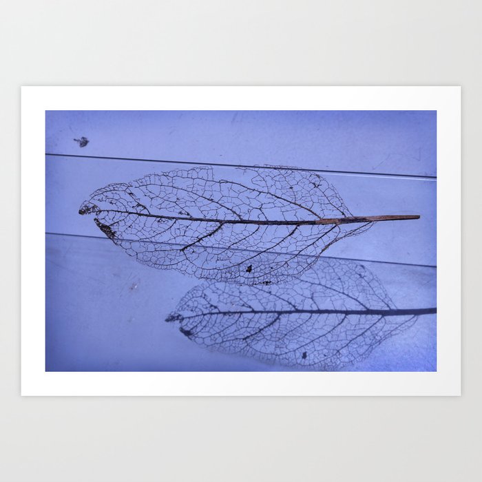 leaf Art Print