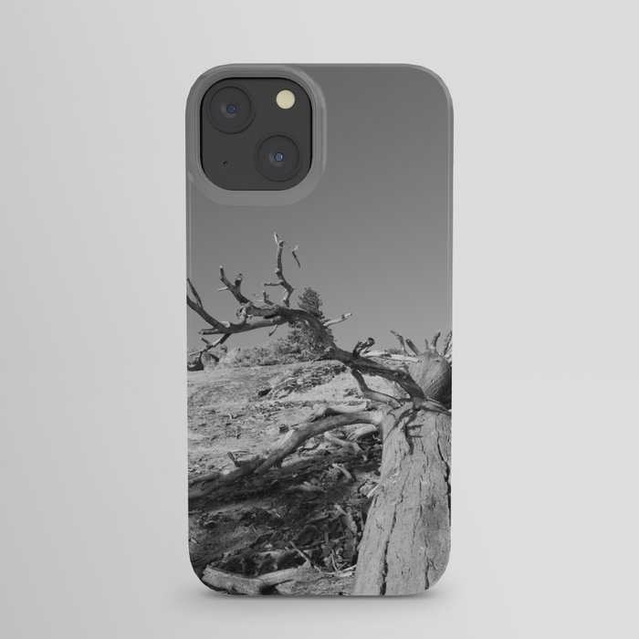 Lost Life iPhone Case