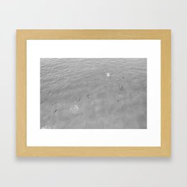 Dolphins Framed Art Print