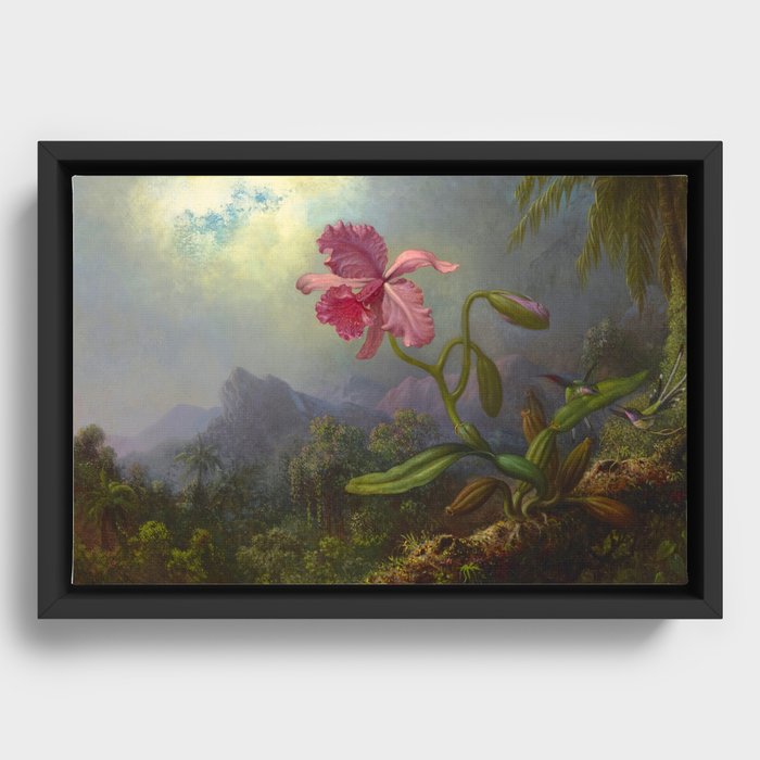Framed Canvas