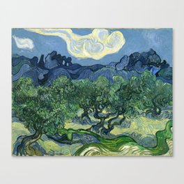 Vincent van Gogh - The Olive Trees Canvas Print
