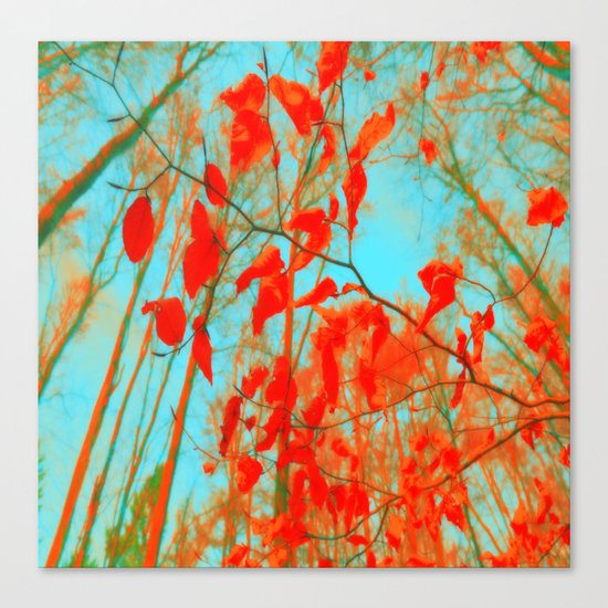 nature abstract 99999 Canvas Print