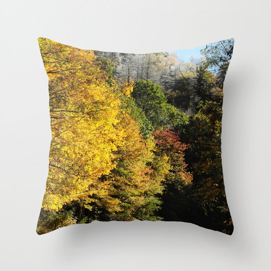 Down this road Throw Pillow