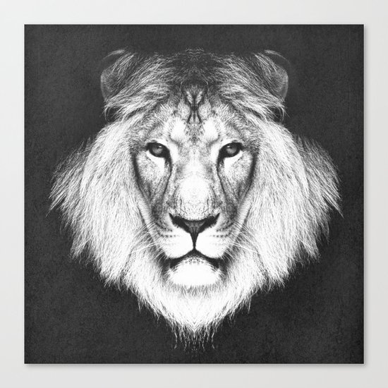 LION 5 Canvas Print