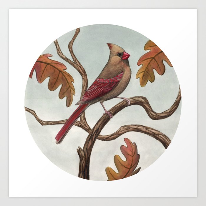 Cardinal (Female) Art Print