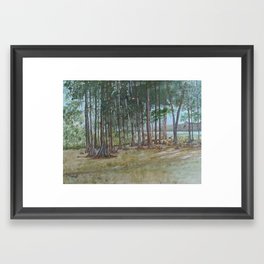 Cypress Grove Framed Art Print