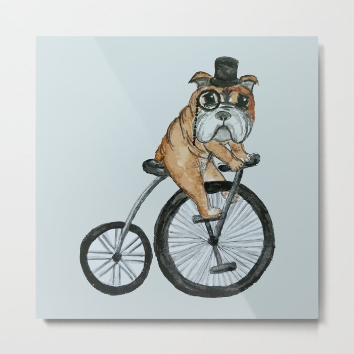 English Bulldog Riding a Penny-farthing Metal Print