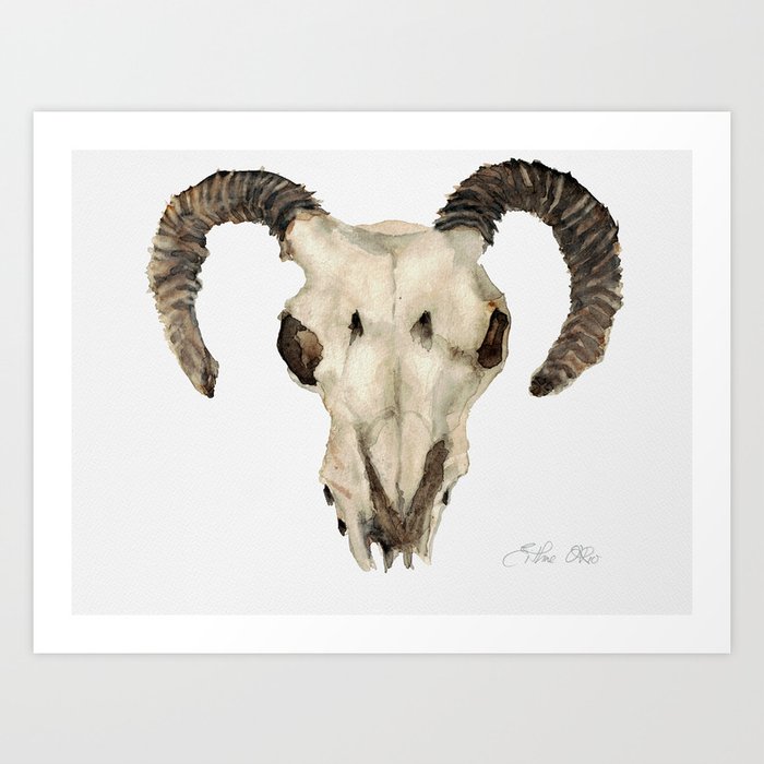 Ram Skull Art Print