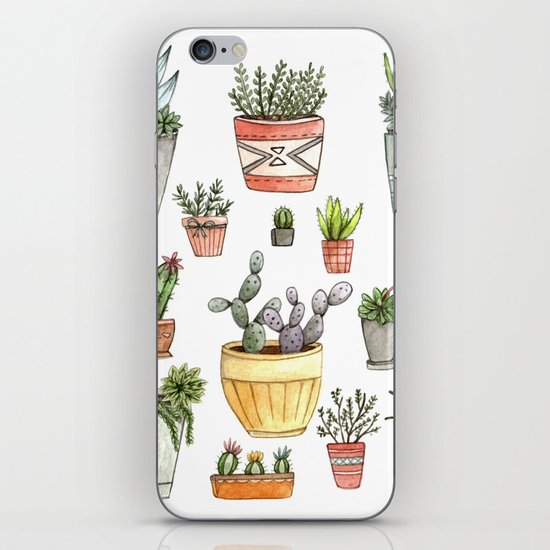 Potted Succulents iPhone & iPod Skin