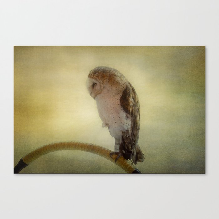 Rescue V Canvas Print